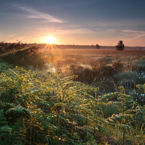 TravelBird - Verwennerij in Drenthe