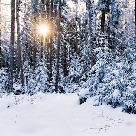 TravelBird - Verwonder je over het natuurschoon in het Sauerland. Luxe 4-sterrenhotel met ontbijt en wellness va. €49,- p.p. TravelBird - Verwonder je over het natuurschoon in het Sauerland. Luxe 4-sterrenhotel met ontbijt en wellness va. €49,- p.p.