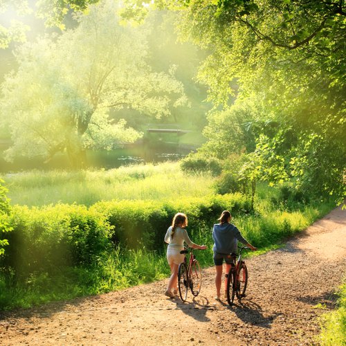 TravelBird - Voorjaar op de Veluwe TravelBird - Voorjaar op de Veluwe