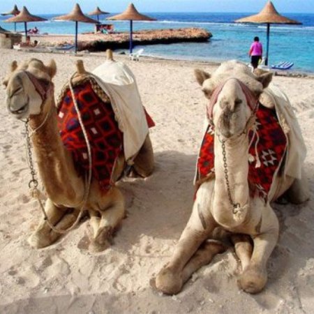 TravelBird - Waanzinnige Nijl Cruise Egypte, Nubian Queen ****