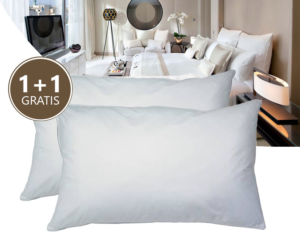 vsdeal.com - Bellona hoofdkussen - Vandaag 1+1 GRATIS vsdeal.com - Bellona hoofdkussen - Vandaag 1+1 GRATIS