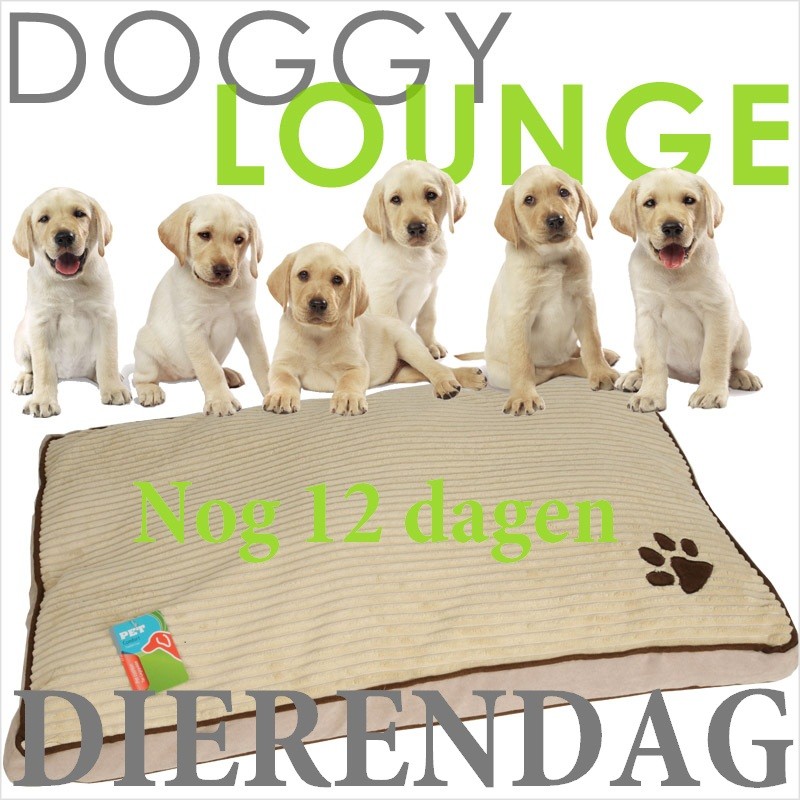 vsdeal.com - DOGGY LOUNGE TIP DIERENDAG OP=OP