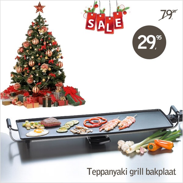 vsdeal.com - TEPPANYAKI GRILLPLAAT XL of XXL