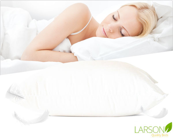 Waat? - Larson donzen kussen Waat? - Larson donzen kussen