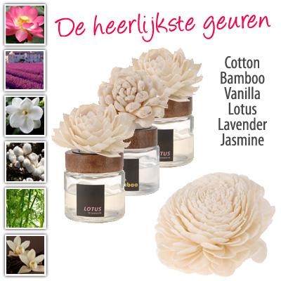 Waat? - Set van 3 decoratieve huisparfums Waat? - Set van 3 decoratieve huisparfums