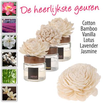 Waat? - Set van 3 decoratieve huisparfums