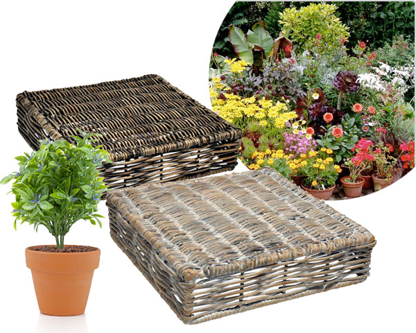 Waat? - Twee handige en leuke plantentrolley's Waat? - Twee handige en leuke plantentrolley's